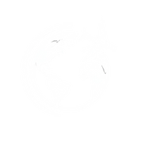 Shipping in all Europe